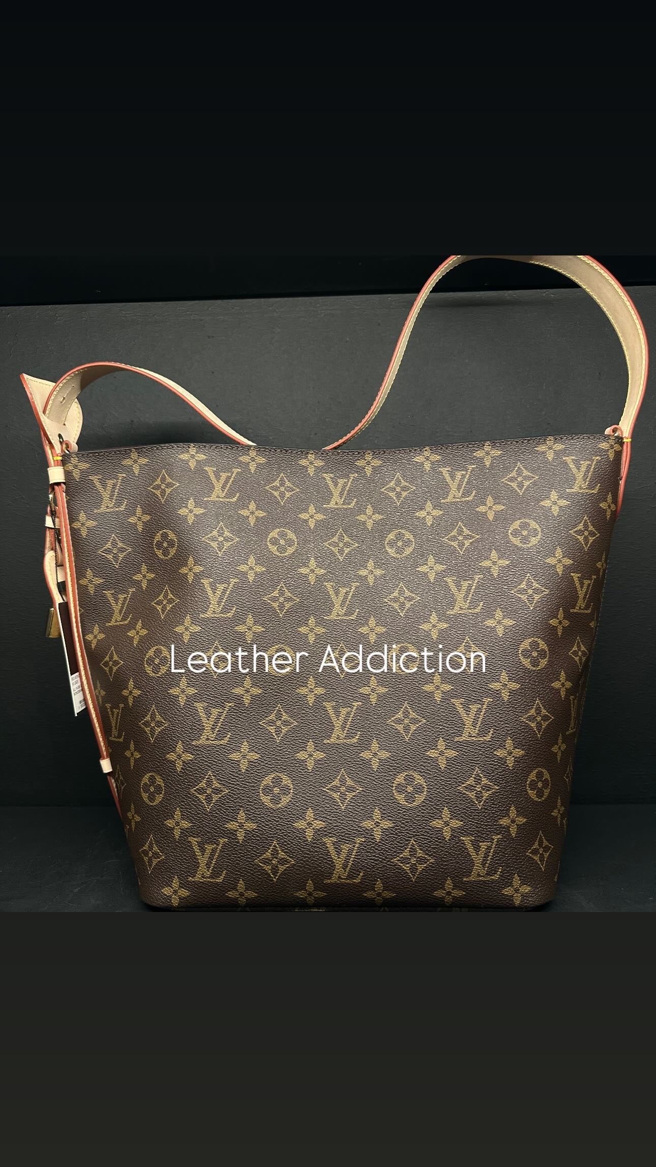 Louis Vuitton ALL IN GM
