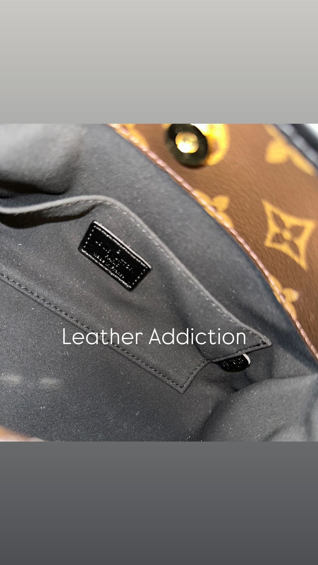 Louis Vuitton monogram Trunkie