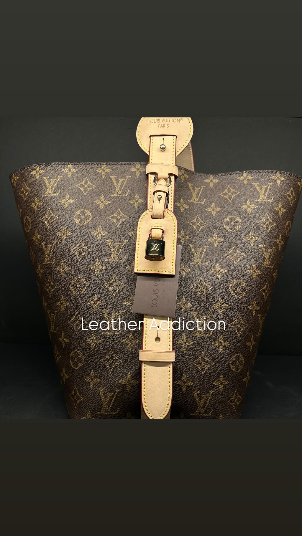 Louis Vuitton ALL IN GM
