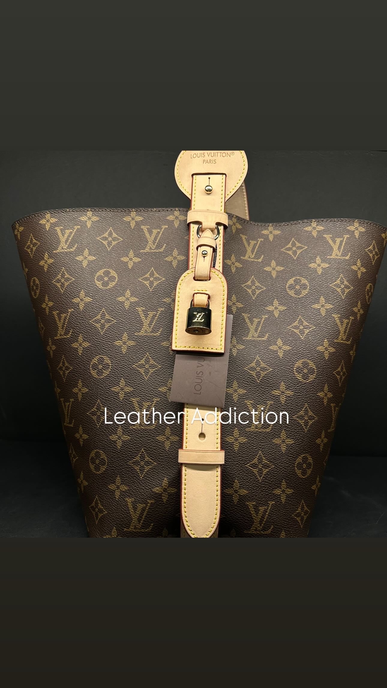 Louis Vuitton ALL IN GM