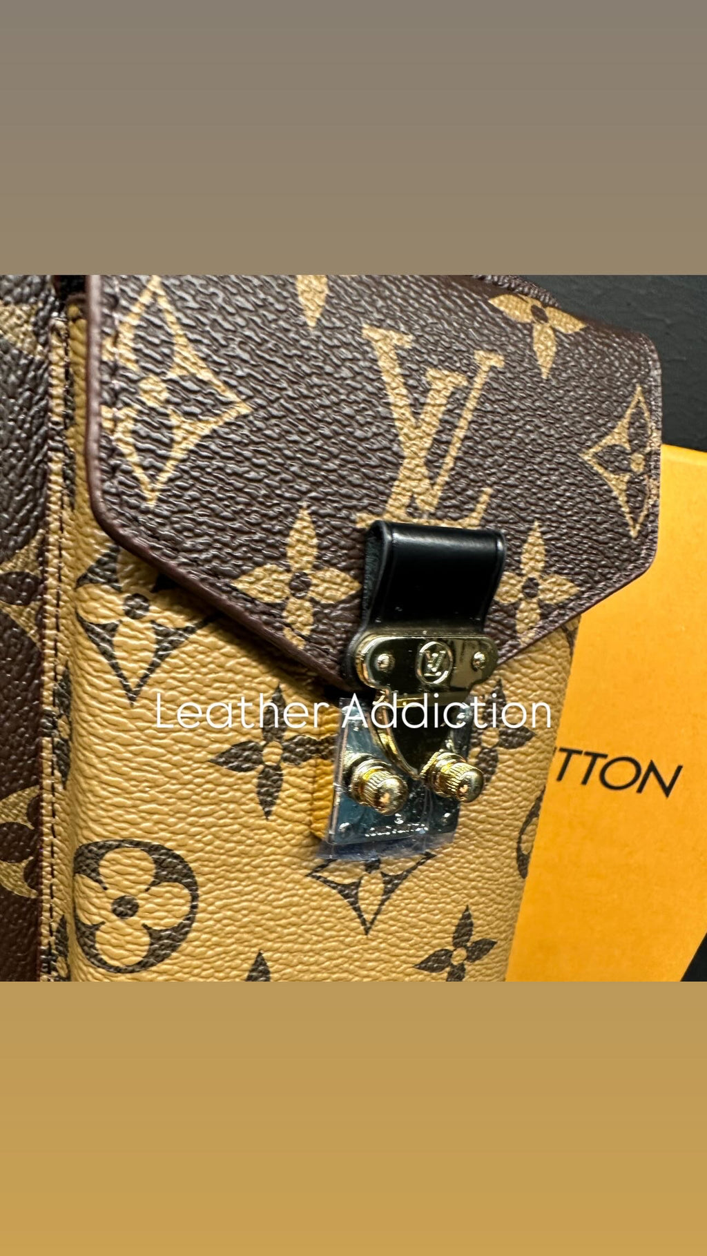 Louis Vuitton Phone Pouch Métis